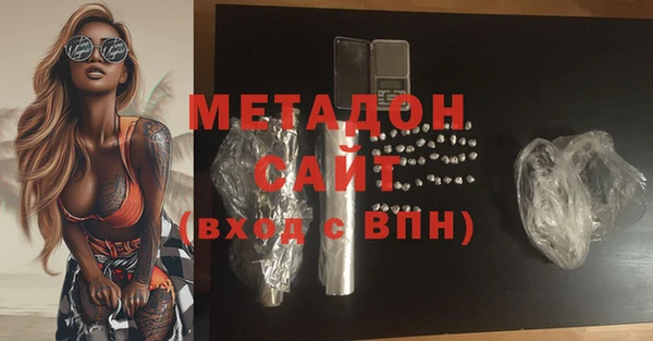 сатива Беломорск