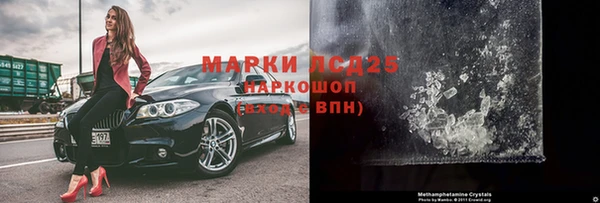 сатива Беломорск