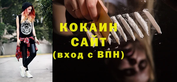 сатива Беломорск