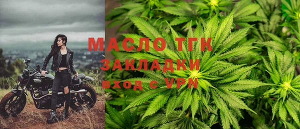 сатива Беломорск