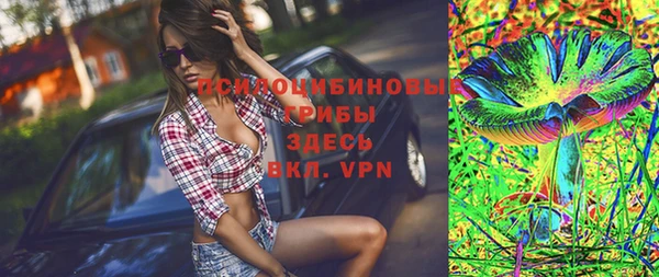 сатива Беломорск