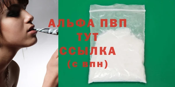 сатива Беломорск