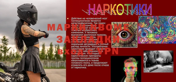 сатива Беломорск