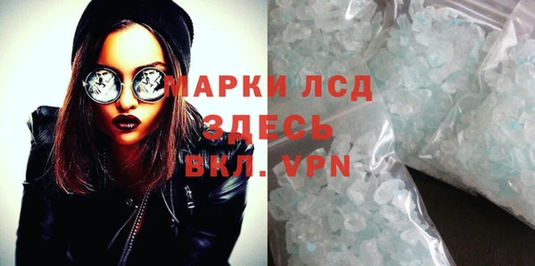 сатива Беломорск
